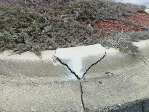 Broken Concrete Curb - Everlast  Blacktop Web